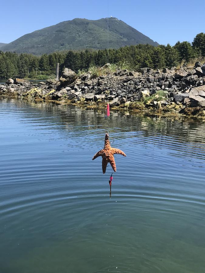 Island West Resort Ucluelet Exteriör bild